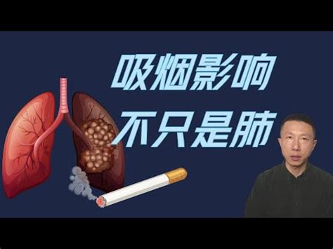 抽煙對身體的危害|一手煙 